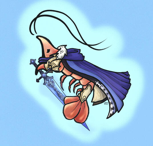 Aymericrevette de Boer