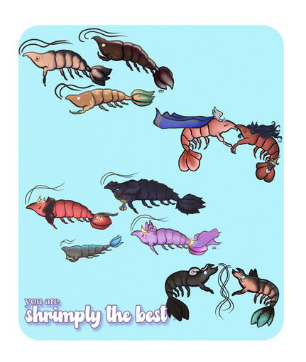 shrimple groups